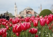    - PLD Travel